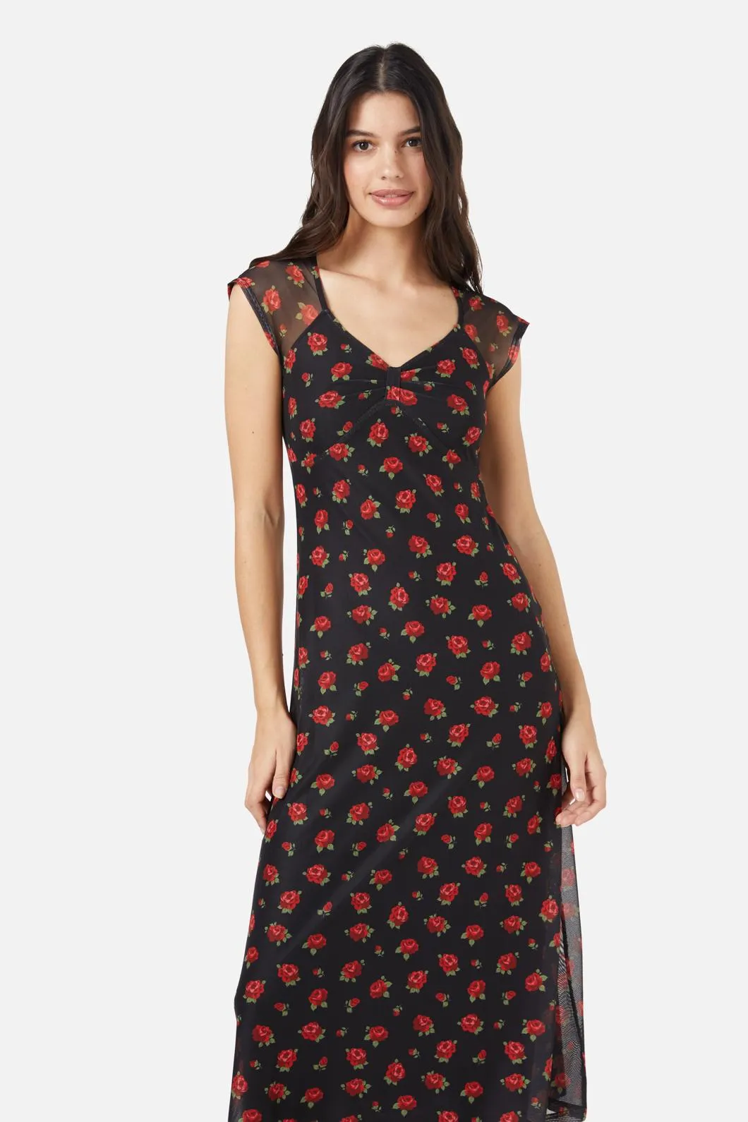 Baby Roses Mesh Dress