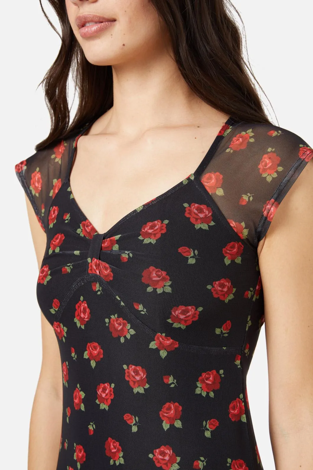 Baby Roses Mesh Dress