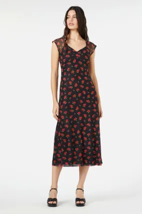 Baby Roses Mesh Dress