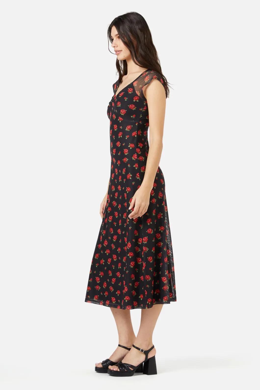 Baby Roses Mesh Dress
